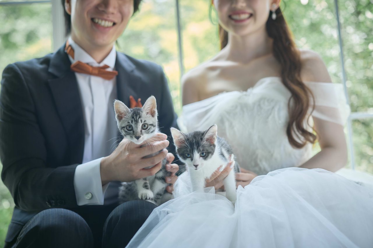 【0719撮影：O様】Kitten Days, Forever Memories